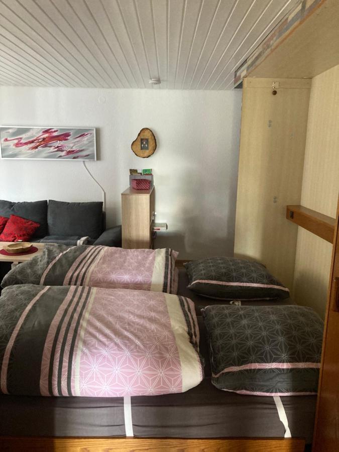 Gemuetliche Ferienwohnung In Sankt Blasien Kültér fotó