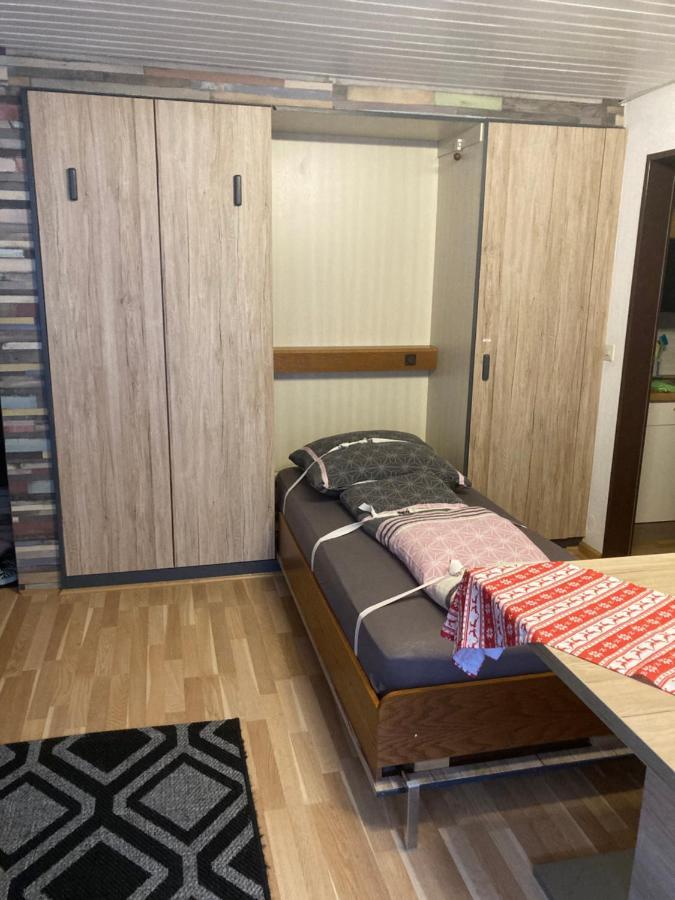 Gemuetliche Ferienwohnung In Sankt Blasien Kültér fotó