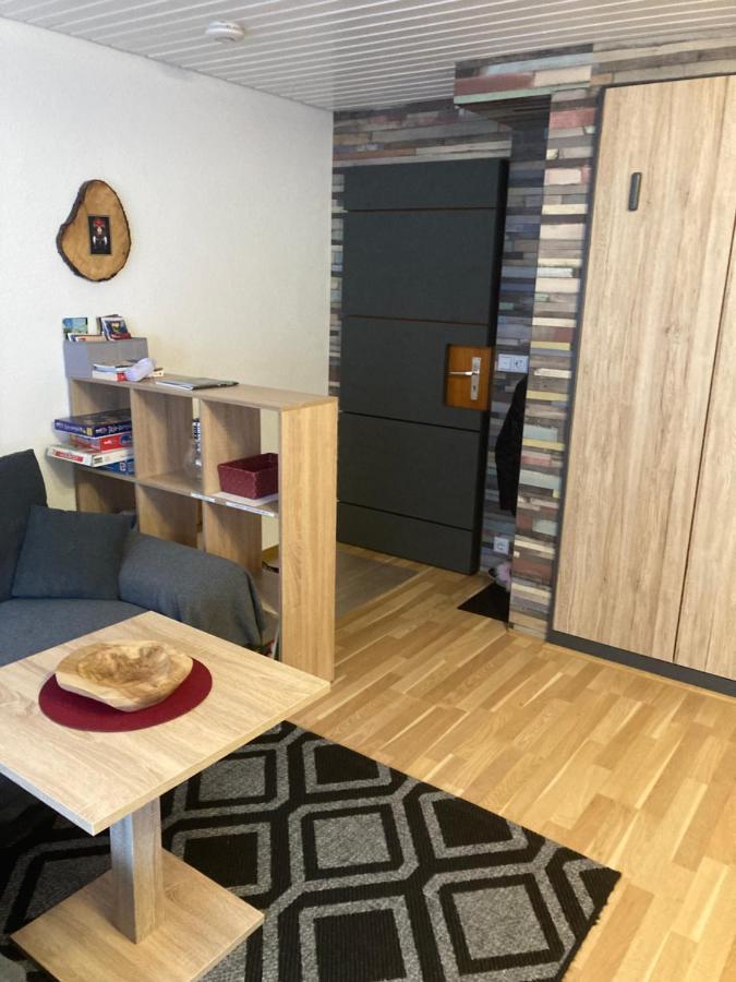 Gemuetliche Ferienwohnung In Sankt Blasien Kültér fotó